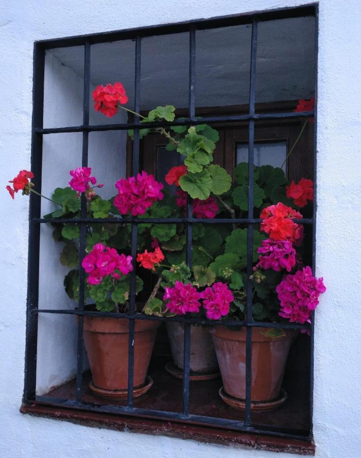 Casa Rural En Grazalema Bagian luar foto